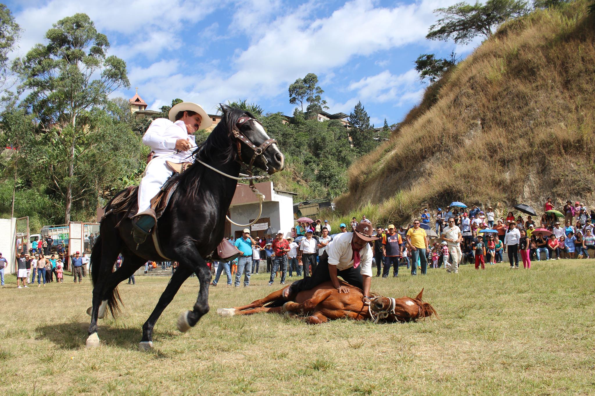 Caballos